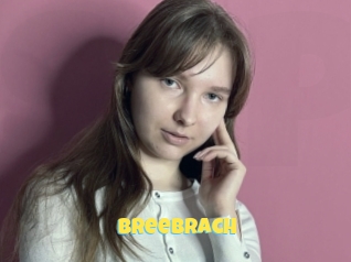 Breebrach
