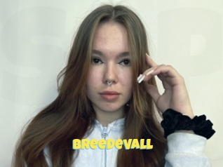 Breedevall