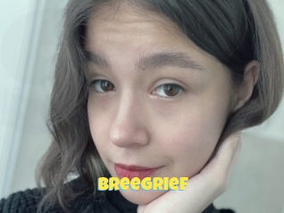 Breegrief