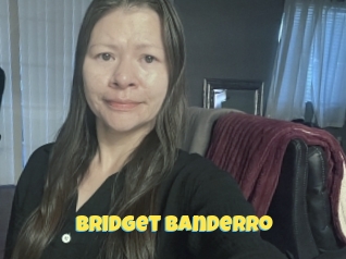 Bridget_banderro