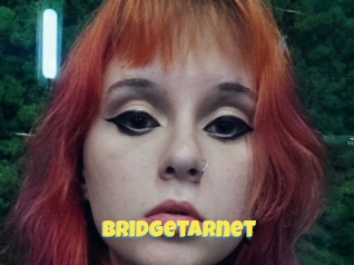 Bridgetarnet