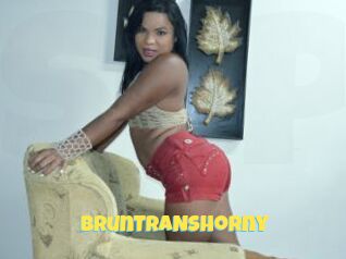 BrunTRANShorny