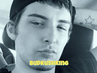 Budkushking