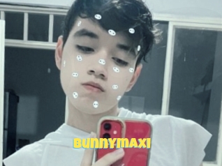 Bunnymaxi