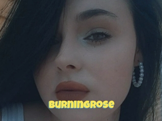 Burningrose