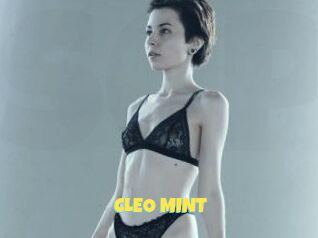CLEO_MINT