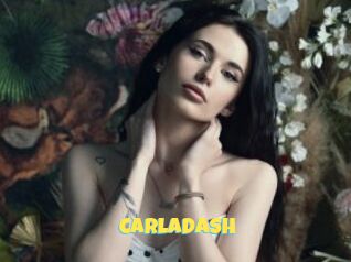 CarlaDash