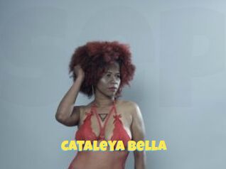 Cataleya_Bella