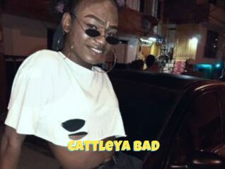 Cattleya_bad