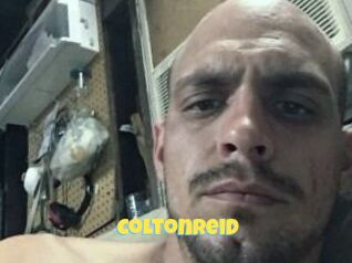 Colton_Reid