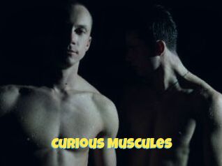 Curious_Muscules