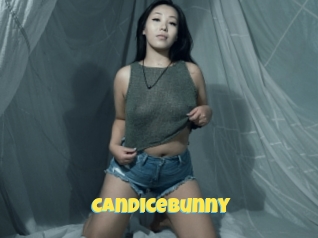 Candicebunny