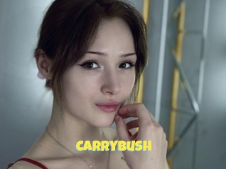 Carrybush
