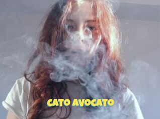 Cato_avocato