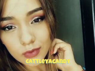 Cattleyacandy