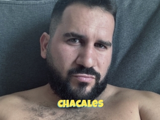Chacales
