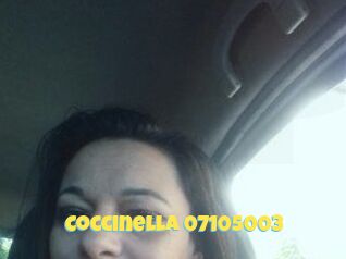 Coccinella-07105003