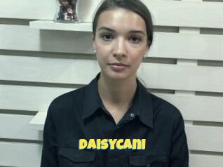DaisyCani
