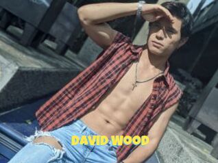 David_Wood