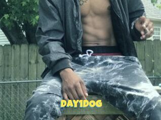 Day1DOG