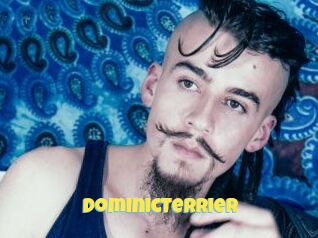 DominicTerrier