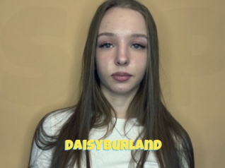 Daisyburland