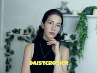 Daisycrosier