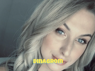 Dinagrom