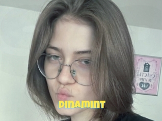 Dinamint