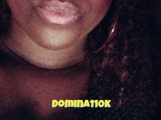 Domina110k