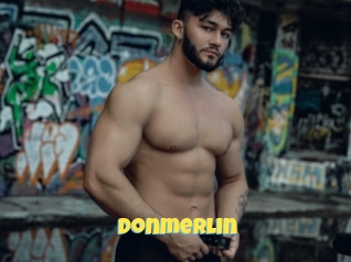 Donmerlin