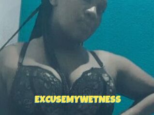 EXCUSEMYWETNESS