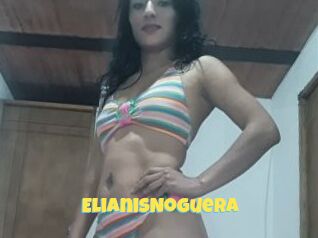 ElianisNoguera