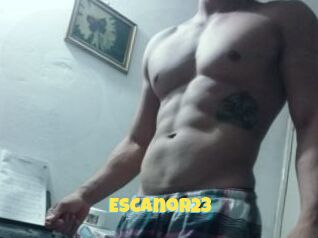 Escanor23