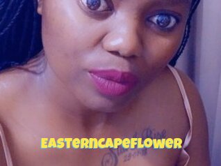 Easterncapeflower