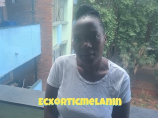 Ecxorticmelanin