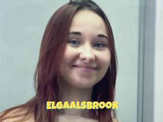 Elgaalsbrook