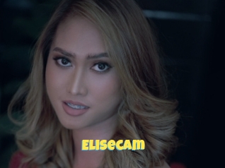 Elisecam