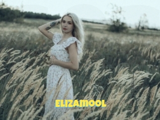 Elizamool