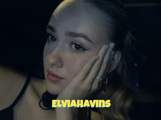 Elviahavins