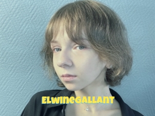 Elwinegallant