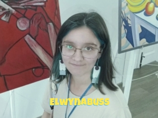 Elwynabuss