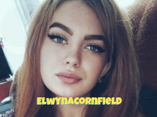 Elwynacornfield