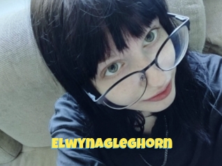 Elwynagleghorn
