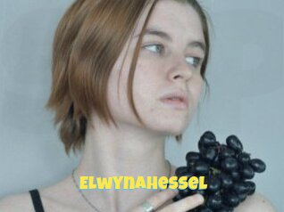 Elwynahessel