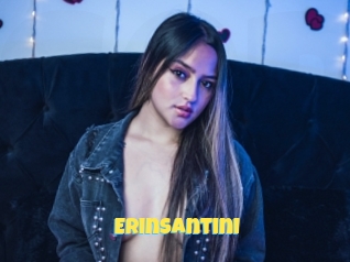 Erinsantini
