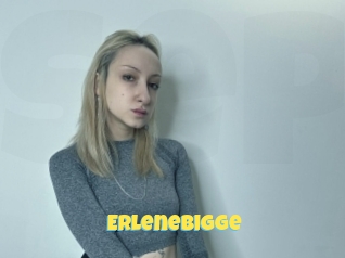 Erlenebigge