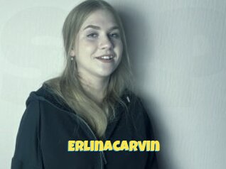 erlinacarvin Sexe et Porno