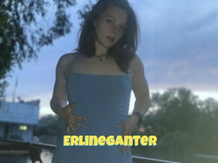 Erlineganter