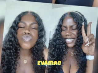 Evamae